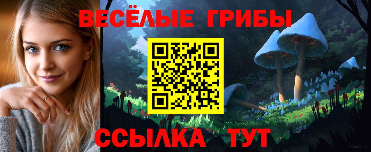 Екатеринбург  Псилоцибиновые грибы мухоморы  Вход с VPN 